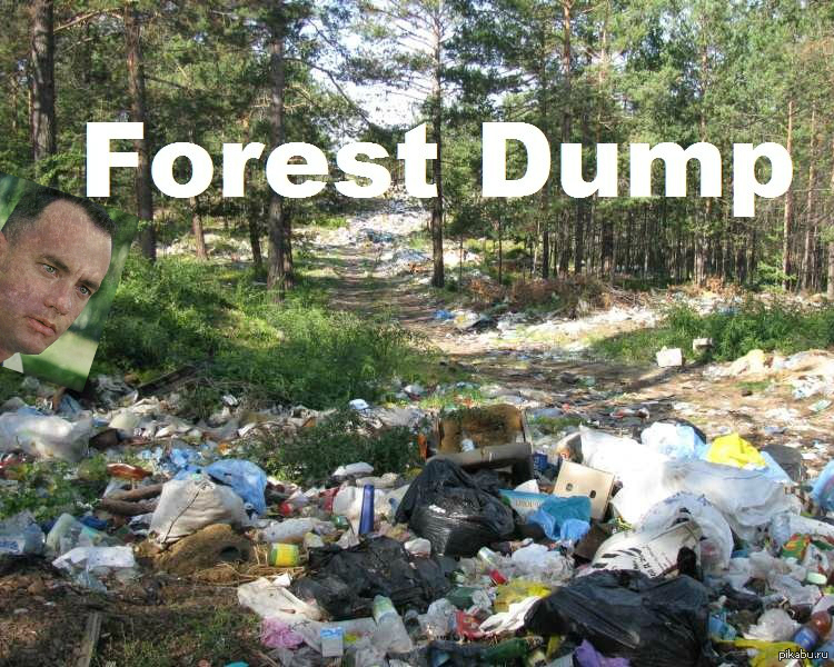 Dump result. Forest Dump. FORESTDUMP фото. FORESTDUMP блоггер.