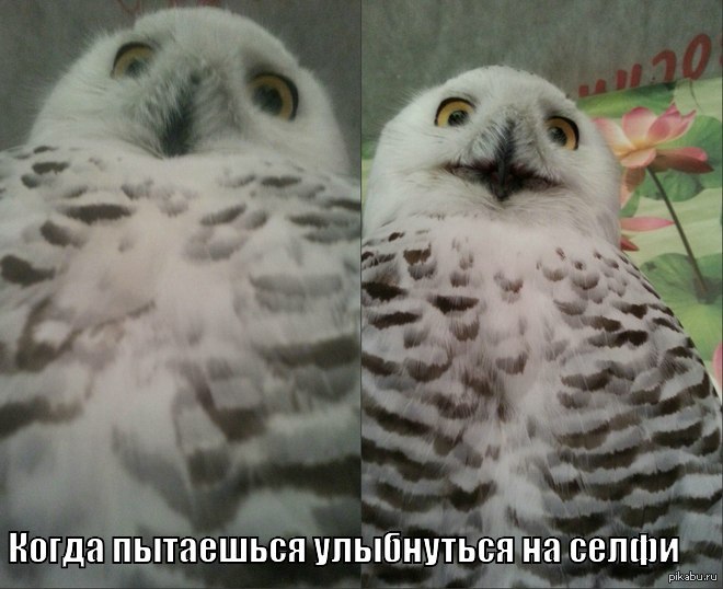 Я пытался улыбнуться. Улыбка картинки прикольные. Обязана улыбается. Я пытался улыбнуться. Мы пытались мем.