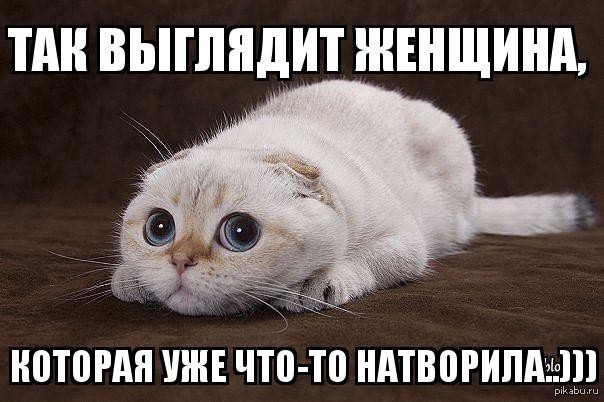 Которая что была. Чтобы натворить картинка. Натворила. Что-то натворил?. Что я натворила?.