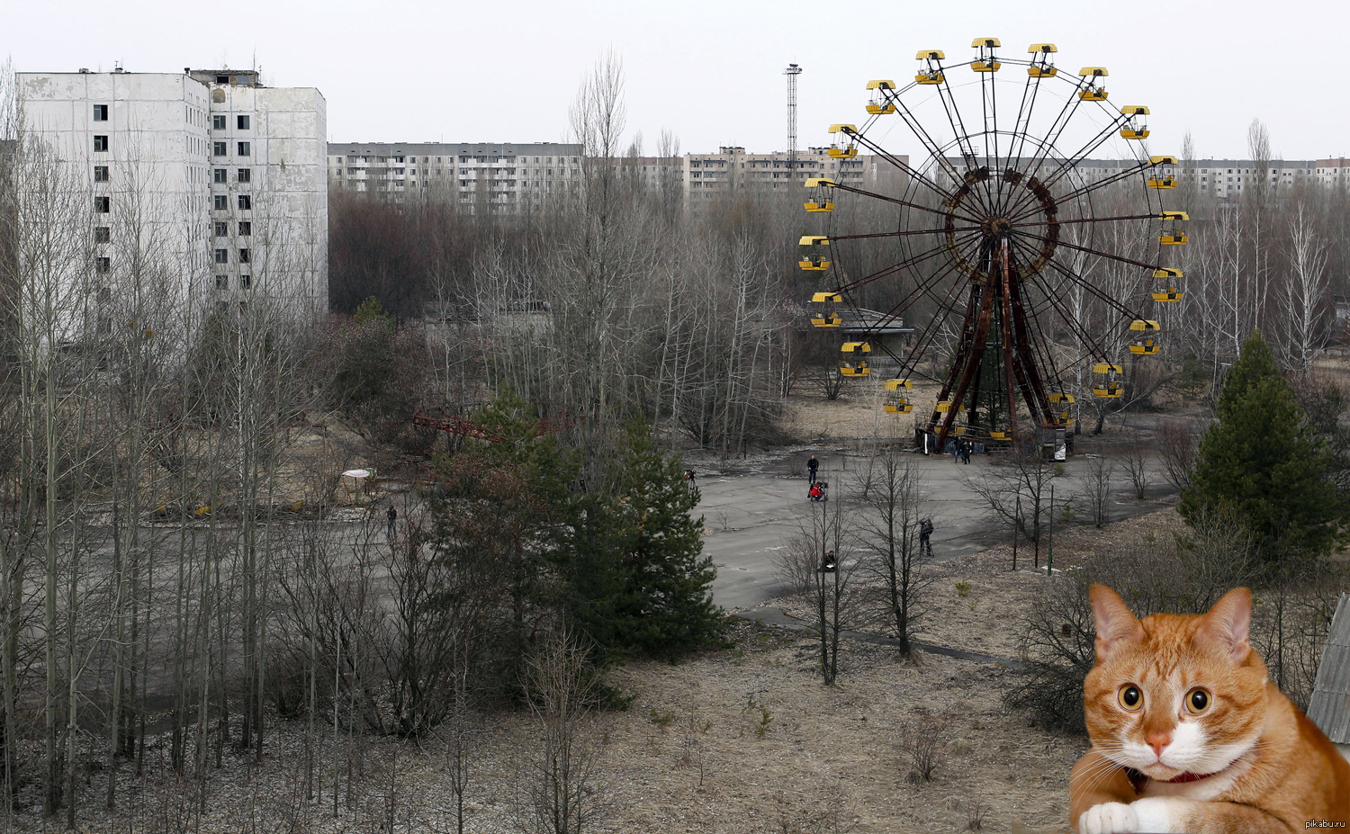 Зона отчуждения Чернобыльской АЭС ковш