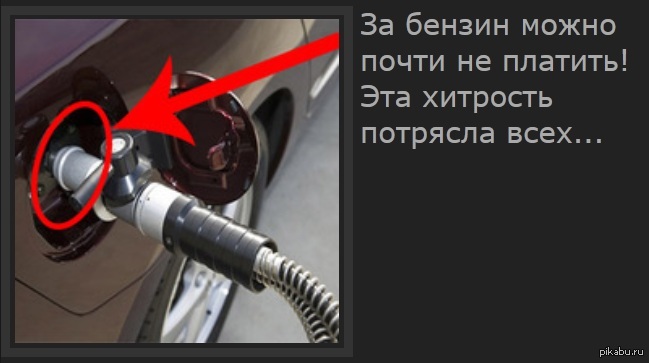 Раз уж на то пошло | Пикабу