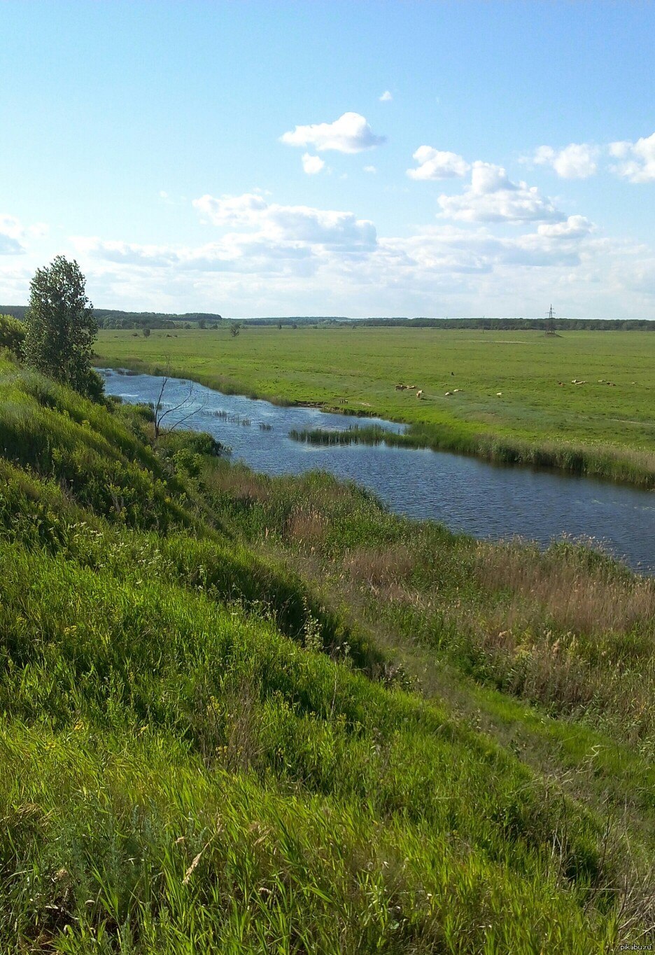 Фото природы волгоградской области фото