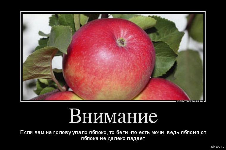 Мимо яблоньки не падает. Яблоко прикол. Шутки про яблоки. Яблоко от яблони недалеко падает прикол. Смешной демотиватор яблони.