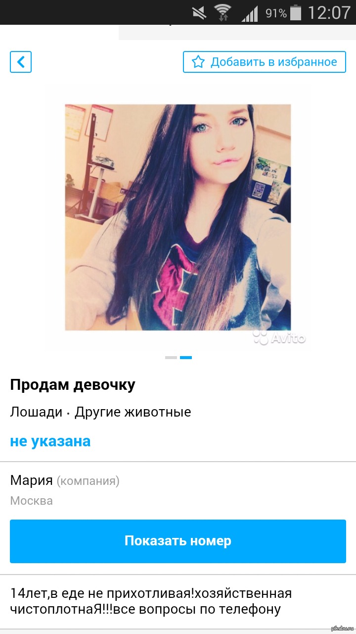Лошади | Пикабу