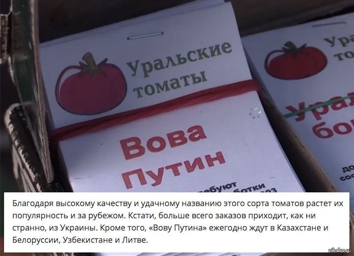 Путина в народ! | Пикабу