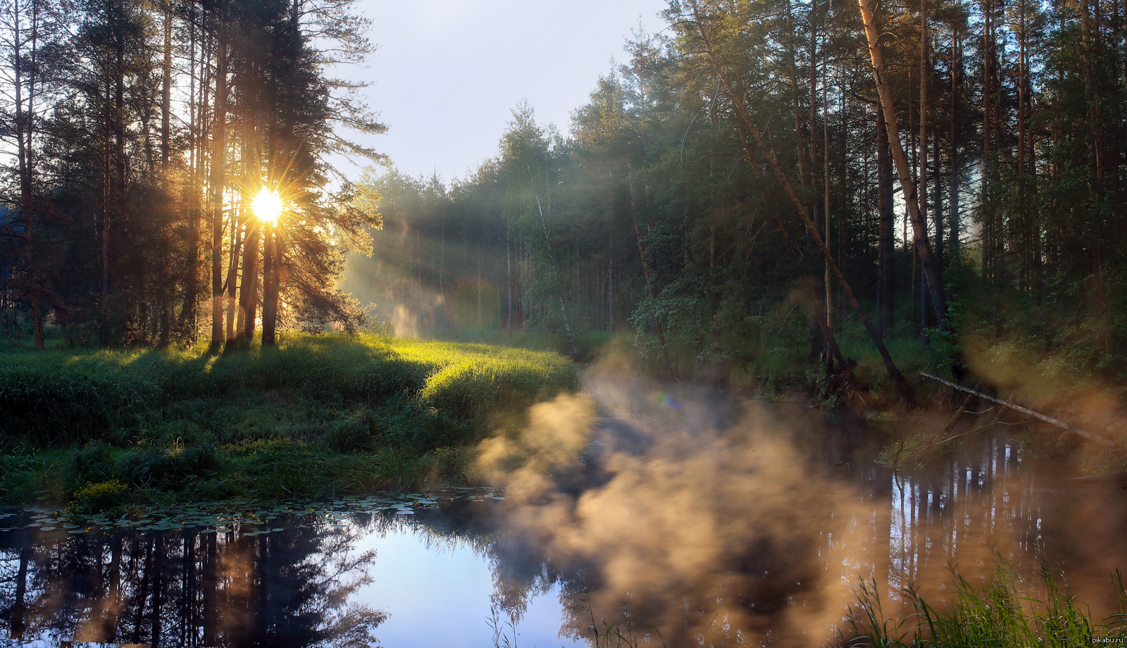 Кипит в лесу. Утро лес река. Утро у озера в лесу. Утро на Лесном озере. Утренний лес.