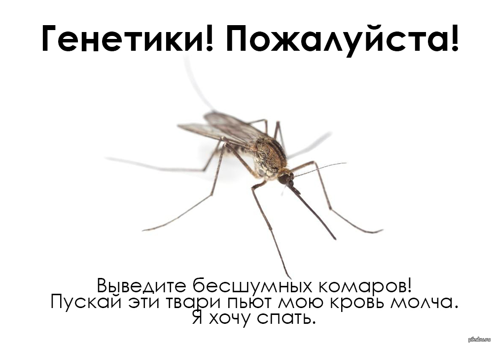 Смешные Комары