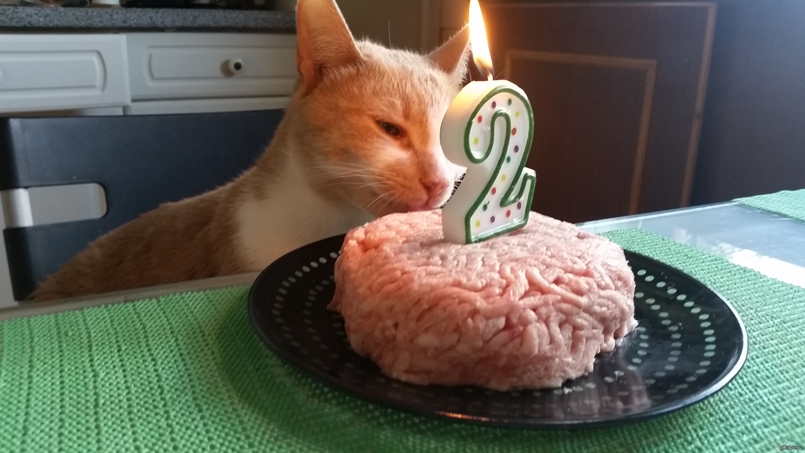 Можно ли котам торт