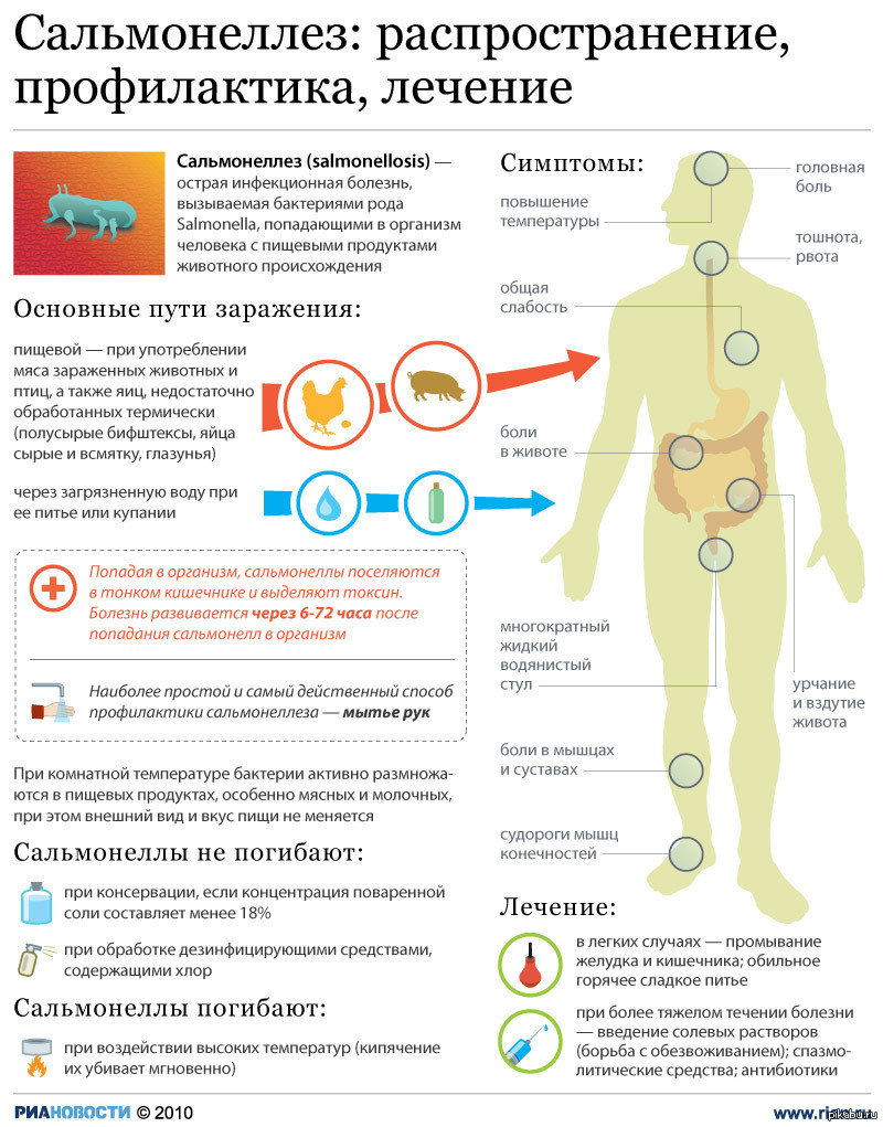 Распространение токсинов. Сальмонеллез причины симптомы профилактика. Симптомы заражения сальмонеллезом. Сальмонеллез профилактика распространения инфекции. Инфекция сальмонелла симптомы.