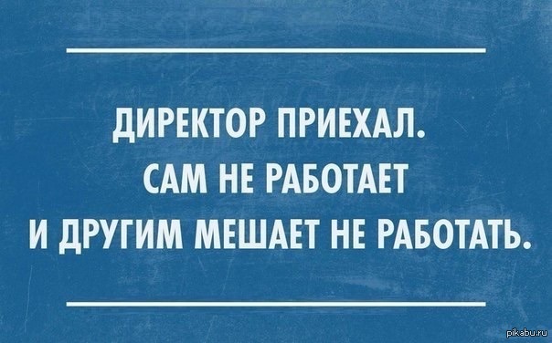 Директор шуточное. Шутки про директора. Директор прикол. Смешные фразы про директора. Шутки про генерального директора.