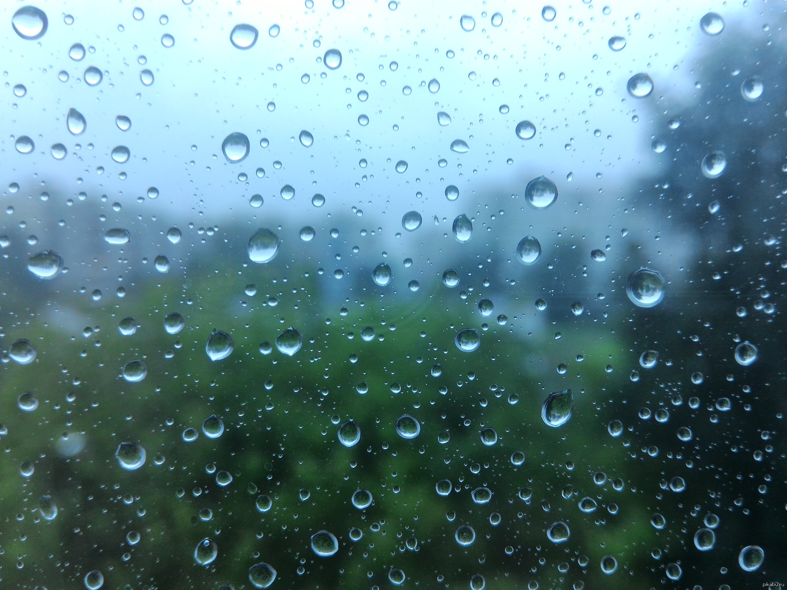 Парень под дождем. Лето hd дождь. Подросток под зонтом. Дождь. Человек с зонтиком.