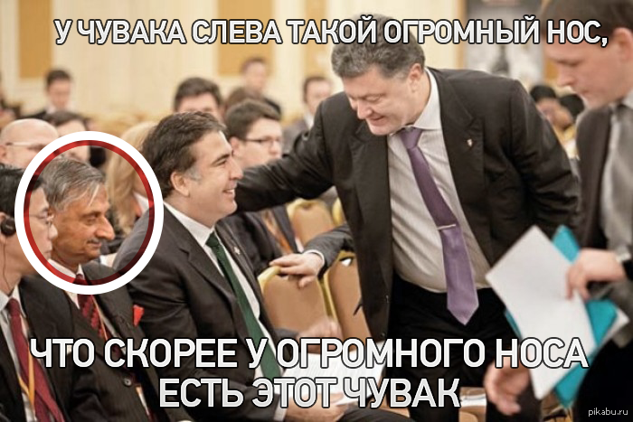Большой нос | Пикабу