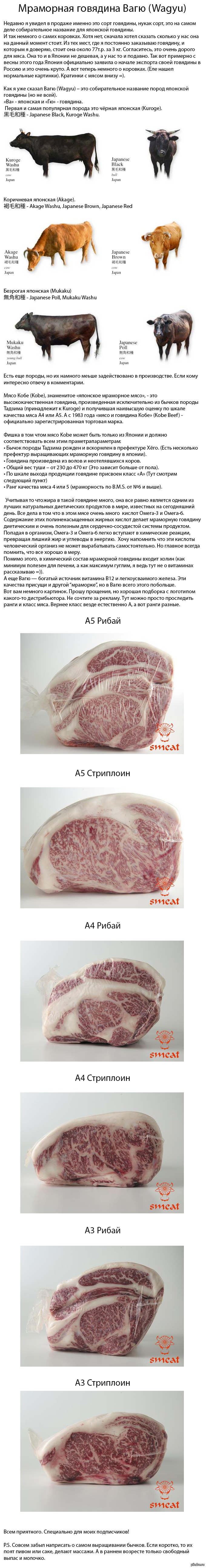 Мраморная говядина Вагю | Пикабу