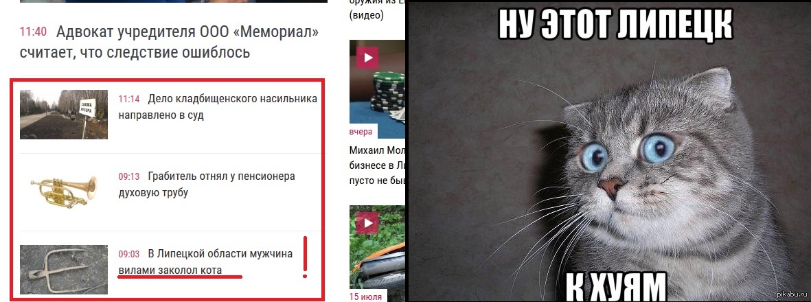 Новости про кота твикса сегодня