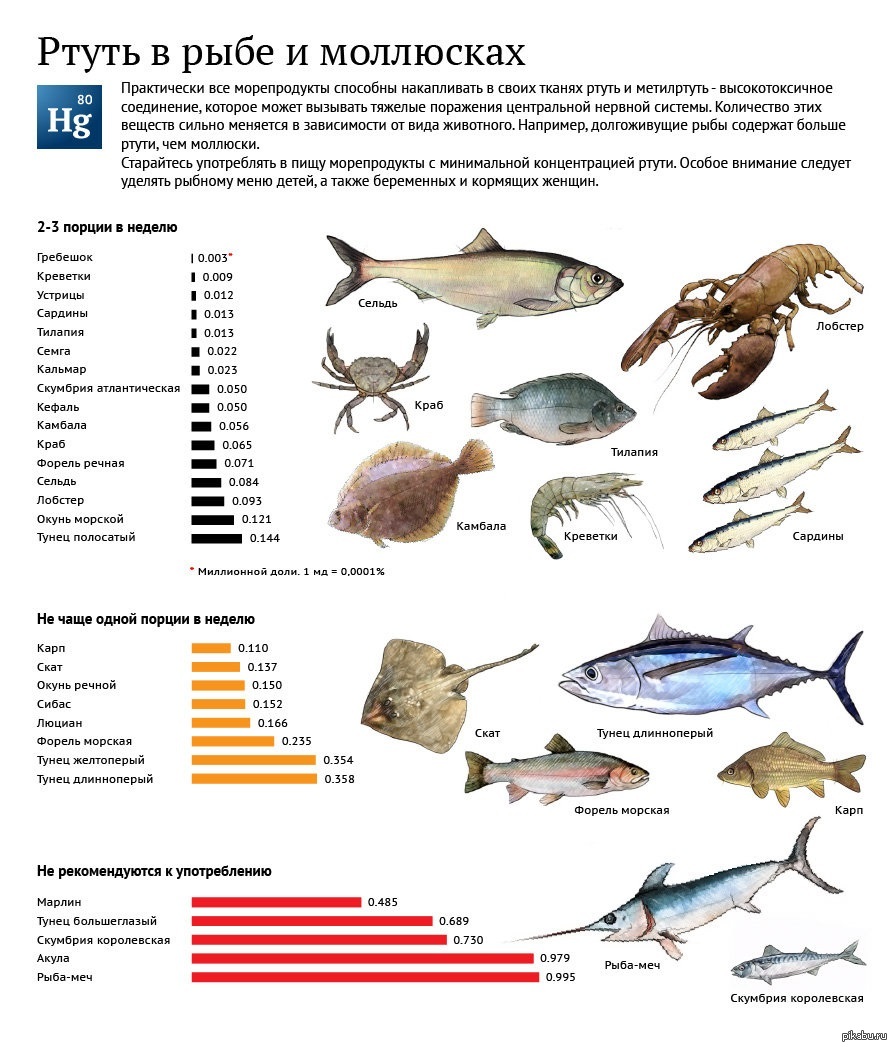 Доклад по теме Содержание тяжелых металлов в морепродуктах