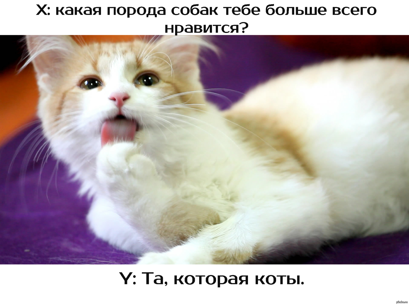 Пересмотрела свои взгляды на жизнь опять все понравилось. Которая вам больше всего понравилась. Какая моя роль. Тебе понравится. Чем может понравиться книга.