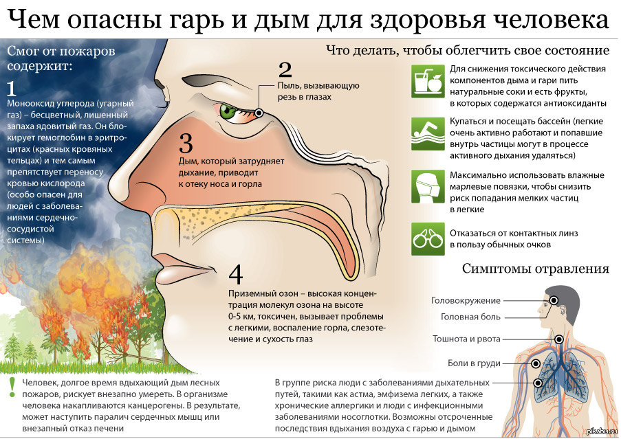 Чем опасны дым и гарь для человека - Инфографика, Гарь, Дым, Здоровье