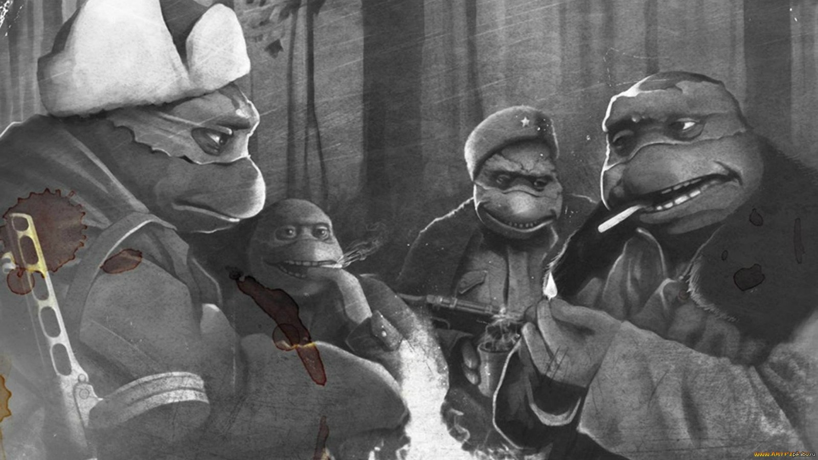 Черепашки. | Пикабу