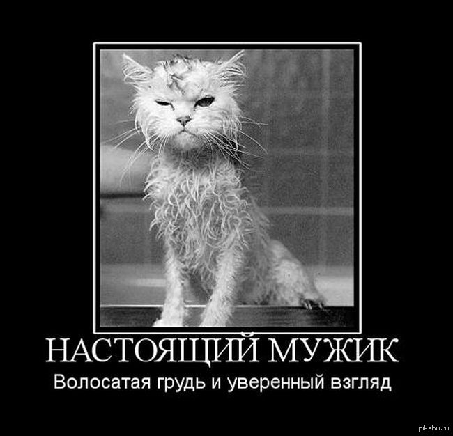 Настоящий мужик! | Пикабу