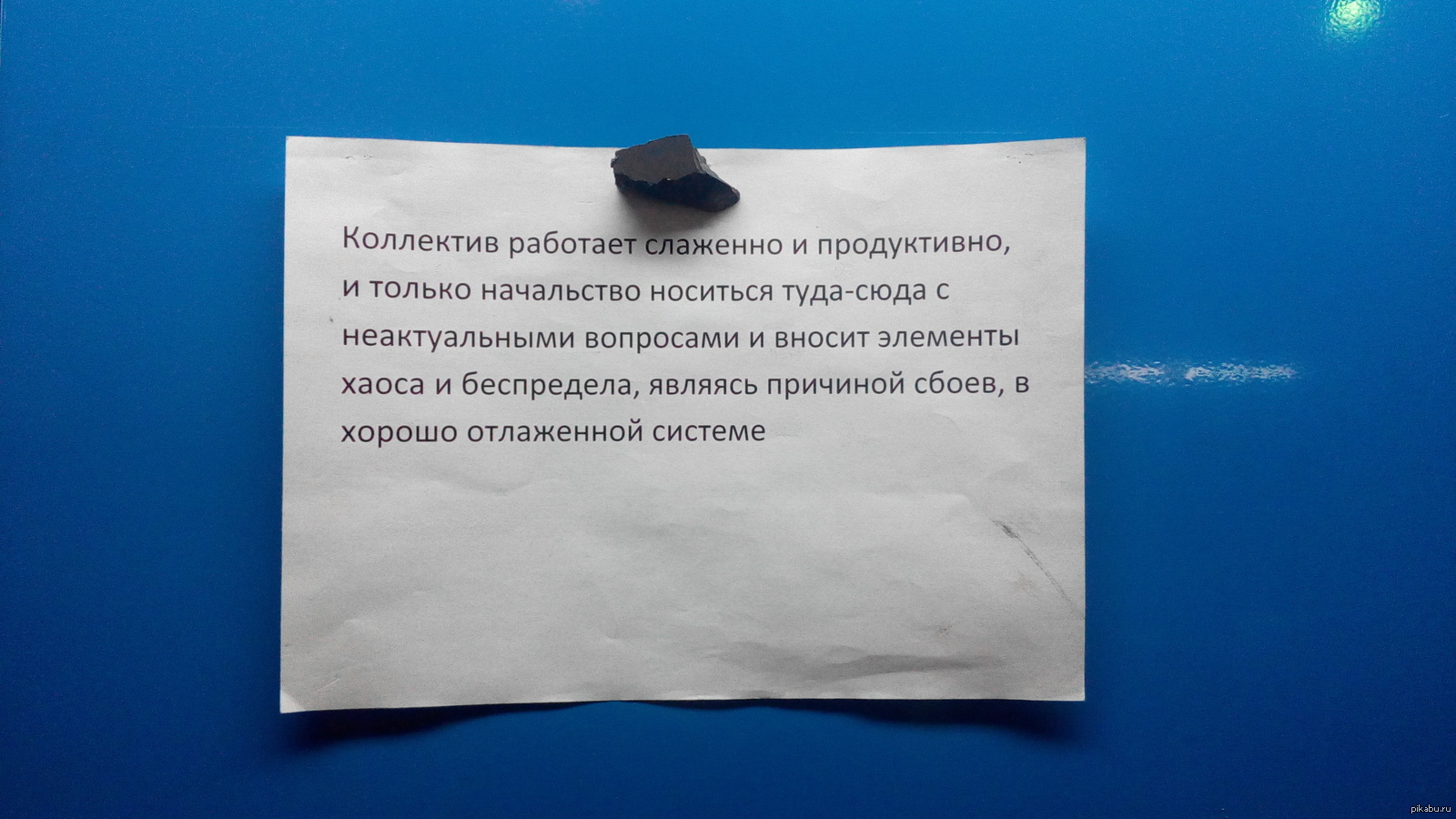 Коллектив шутка. Фразы про коллектив на работе. Прикольные фразы про коллектив. Высказывания про коллектив на работе. Коллектив работал слаженно и только начальство.