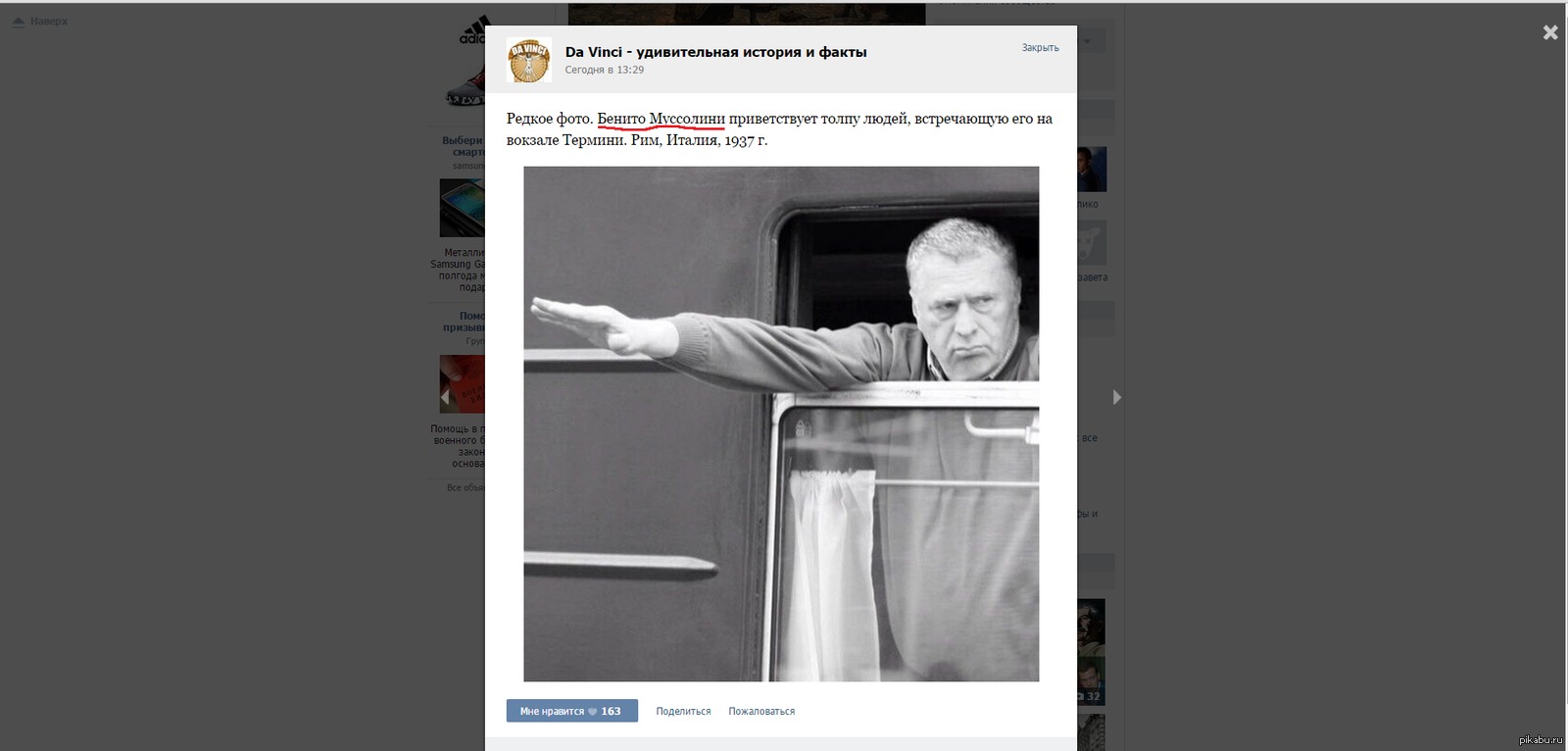 Disinformation - Vladimir Zhirinovsky, Disinformation, Humor