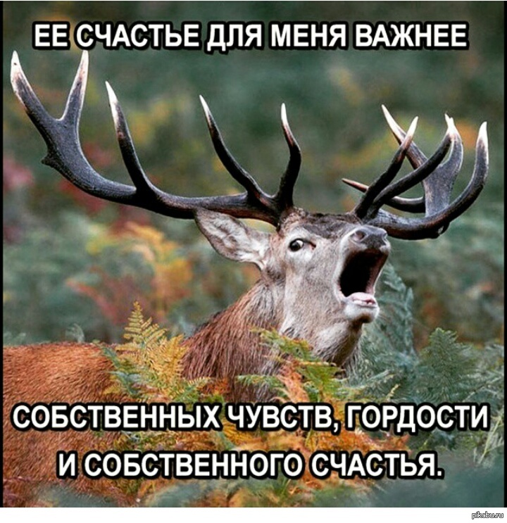 Глупый олень