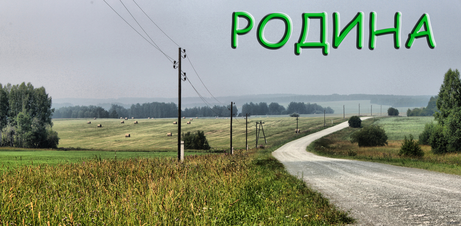 Родина | Пикабу