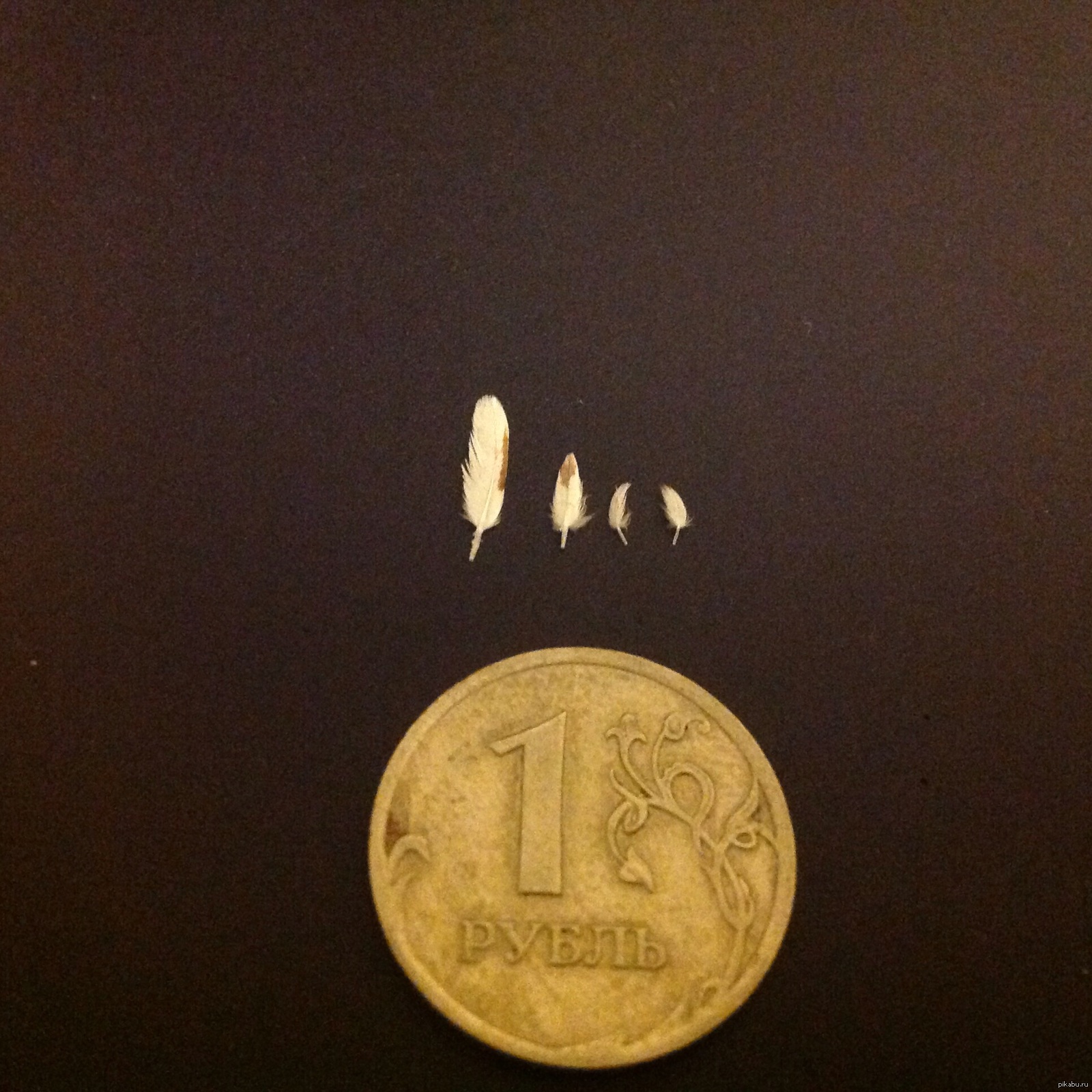 и такие бывают | Пикабу