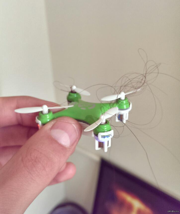 Never fly
