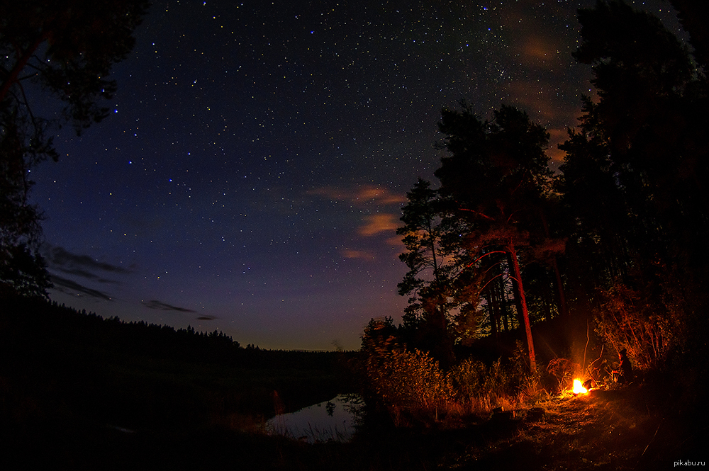 Звезды словно огоньки. «Ночь в лесу». Тайга ночью. Ночной лес. Ночное небо у костра.
