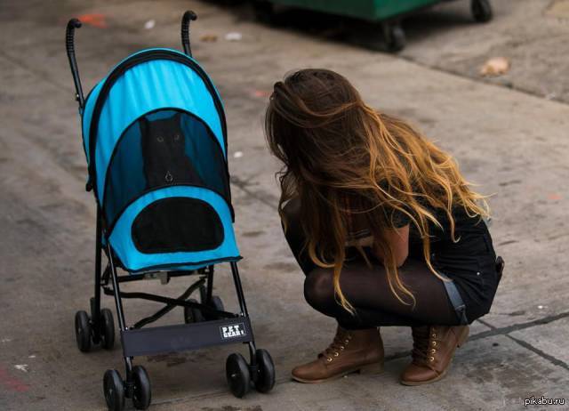 Коляска graco трехколесная. Трехколесная коляска люлька. Прогулки на свежем воздухе. Зоопарк уэно в токио. Девочка с котом в коляске.