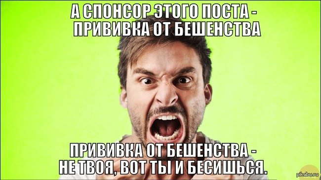 Бешенство такое бешенство | Пикабу