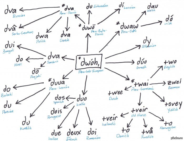 Aa language. Proto Indo European language. Evolution in Indo-European. Indo European languages. Слово два в индоевропейских языках.