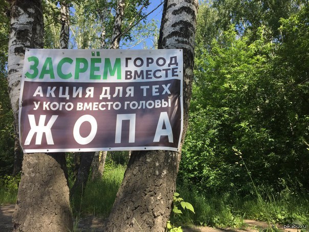 Чистота | Пикабу