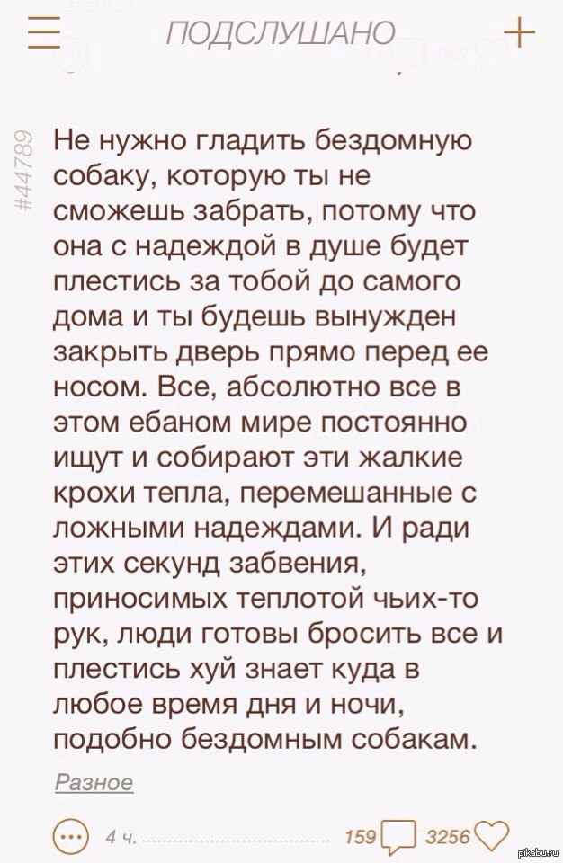 Сильно.. | Пикабу