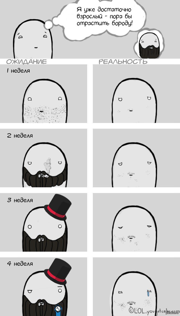Мем про бороду. Шутки про бороду. Смешные картинки про бороду. Мемы про бороду. Борода прикол