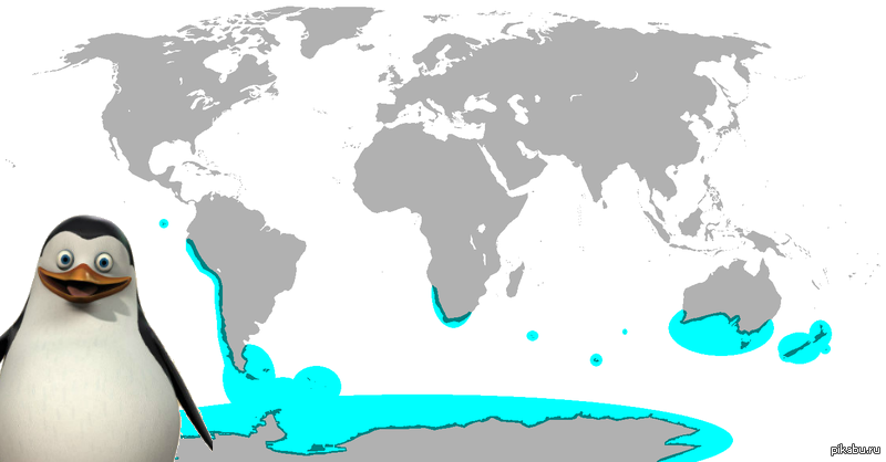 Пингвины обитают на материке. Ареал обитания пингвинов. Ариал обитания пингвинов. Ареал обитания пингвинов на карте мира. Среда обитания пингвинов на карте мира.