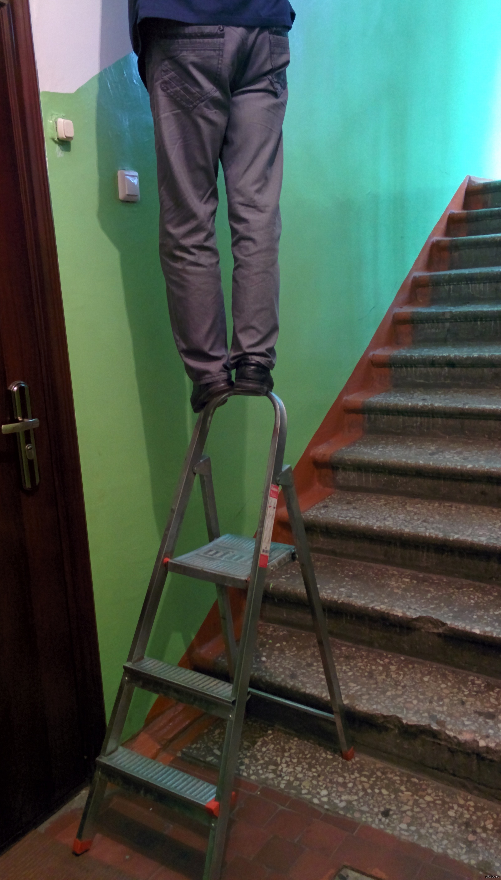 Worst ladder. Падение с лестницы прикол. Лестница идиотов. Worst ladder. Идиот на стремянке.