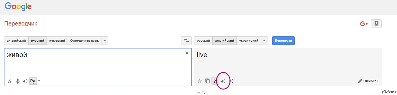 На работе возник спор о произношении слова live | Пикабу