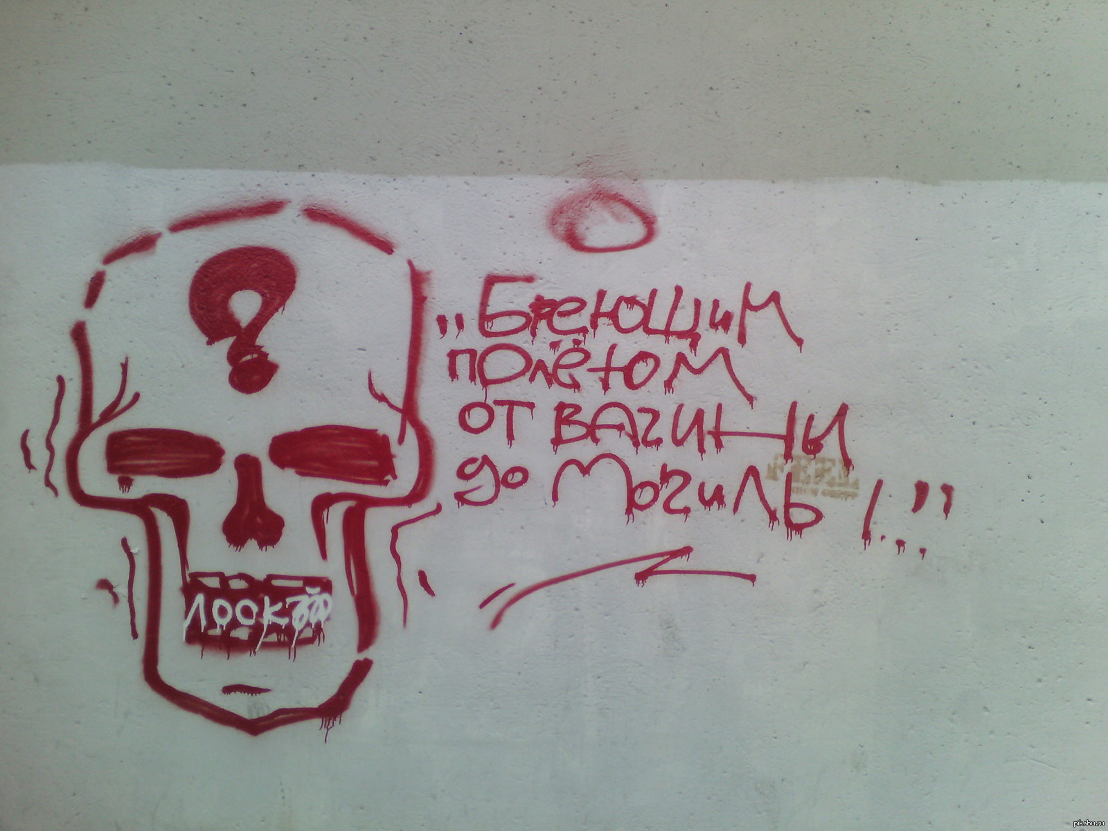Here is a graffiti in the center of Voronezh - NSFW, Graffiti, Creation, Wise thoughts, Scull, Voronezh, Wisdom