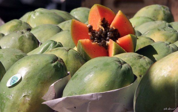 The Belarusian papaya has a legal taste. Belarusian Phytosanitary Service responded to Rosselkhoznadzor - Republic of Belarus, Russia, Papaya, Trade