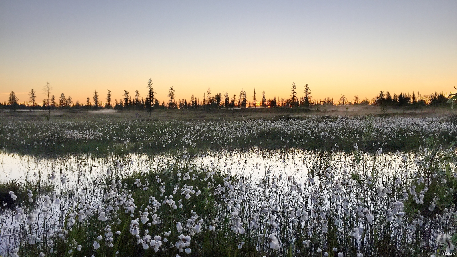 There's still snow somewhere... - My, North, New Urengoy, Nature, Spring, Photo, Sunset