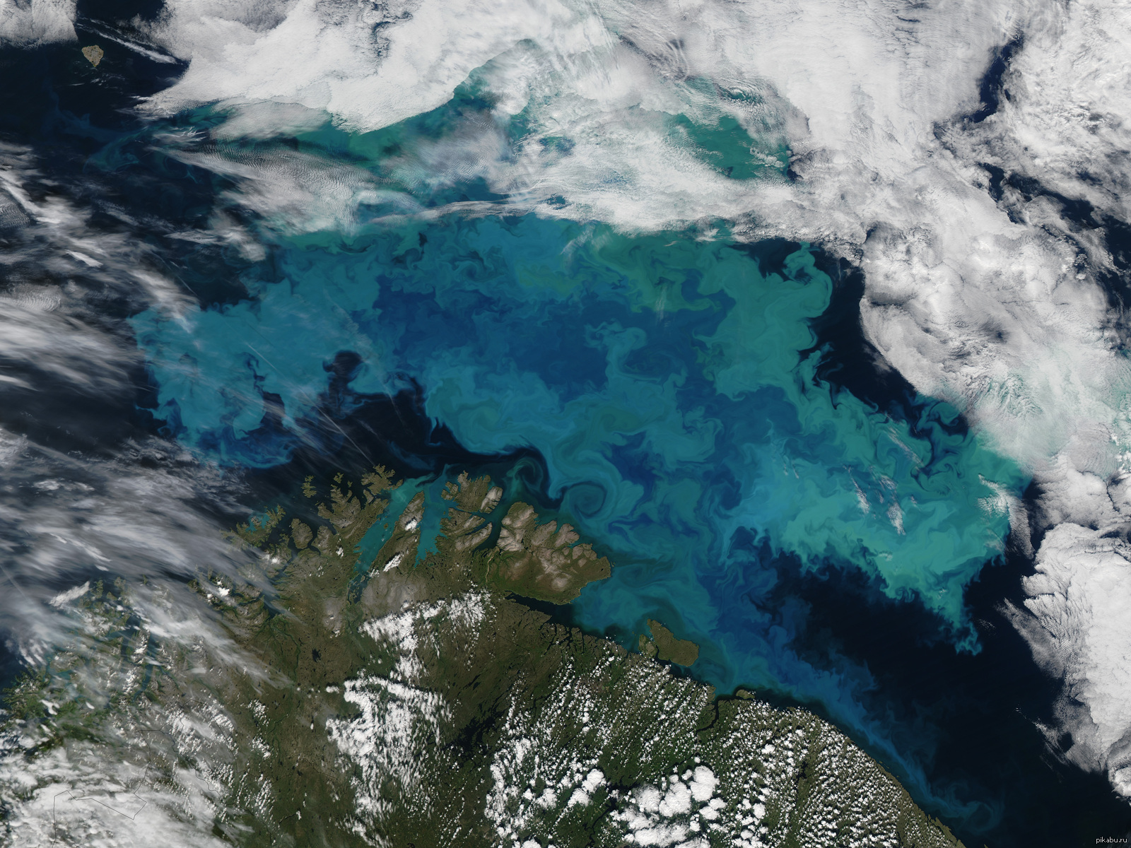 Спутник море. Баренцево море с верху. Баренцево море из космоса. Баренцево море вид сверху. Снимок Баренцево море из космоса.