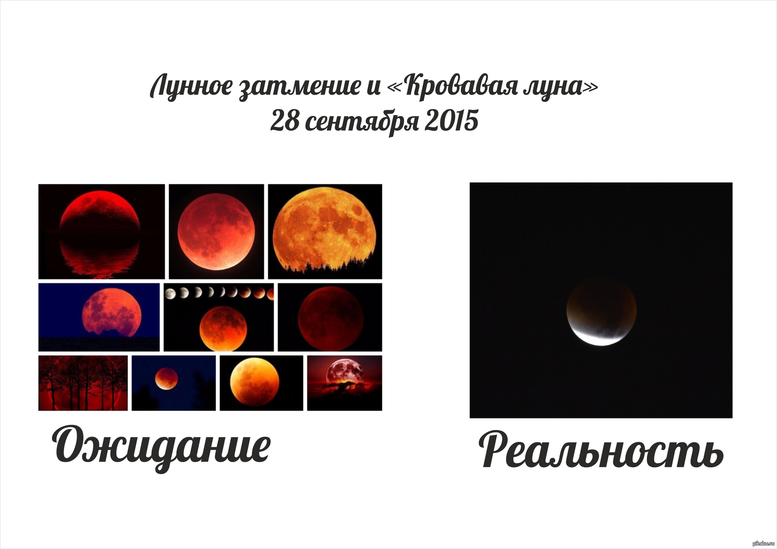 Ведь всю ночь не спал, ждал.. | Пикабу