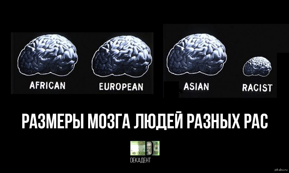 Эволюция размера мозга. Мозг разных рас. Размер мозга у разных рас. Объем мозга у разных рас. Размер мозга человека.