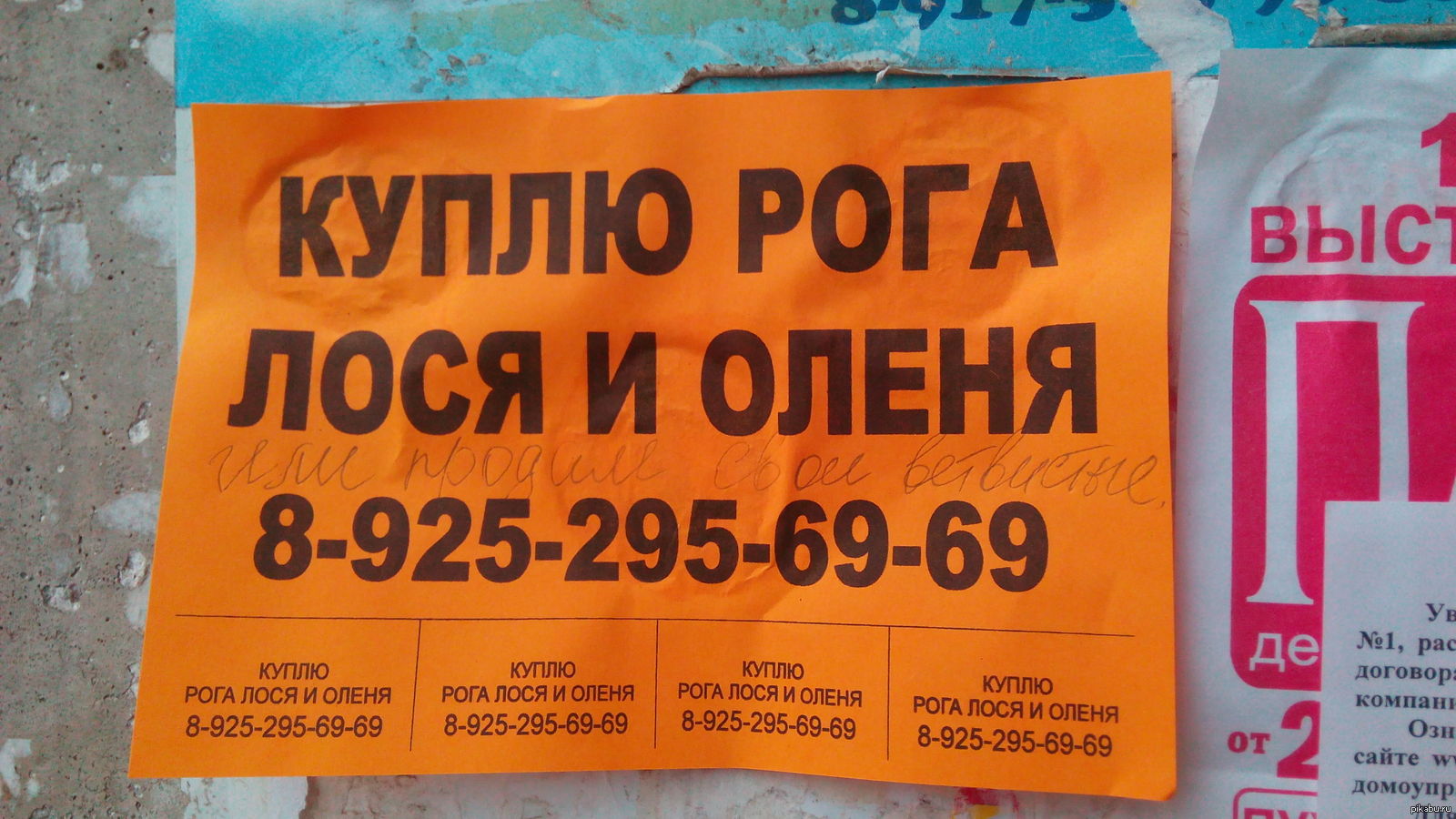 Утром обнаружил у подъезда | Пикабу