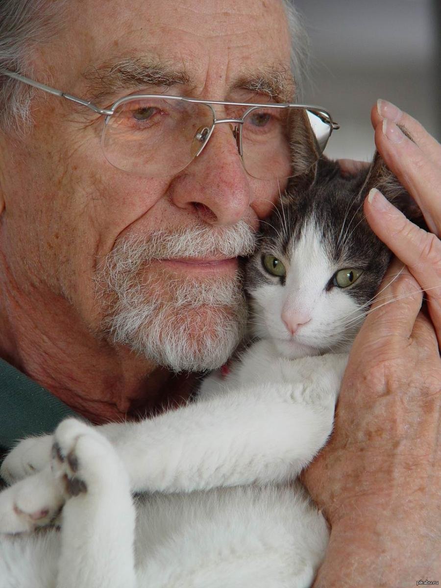 Кошки в старости. Старик и кот. Кот дед. Старик с котами.