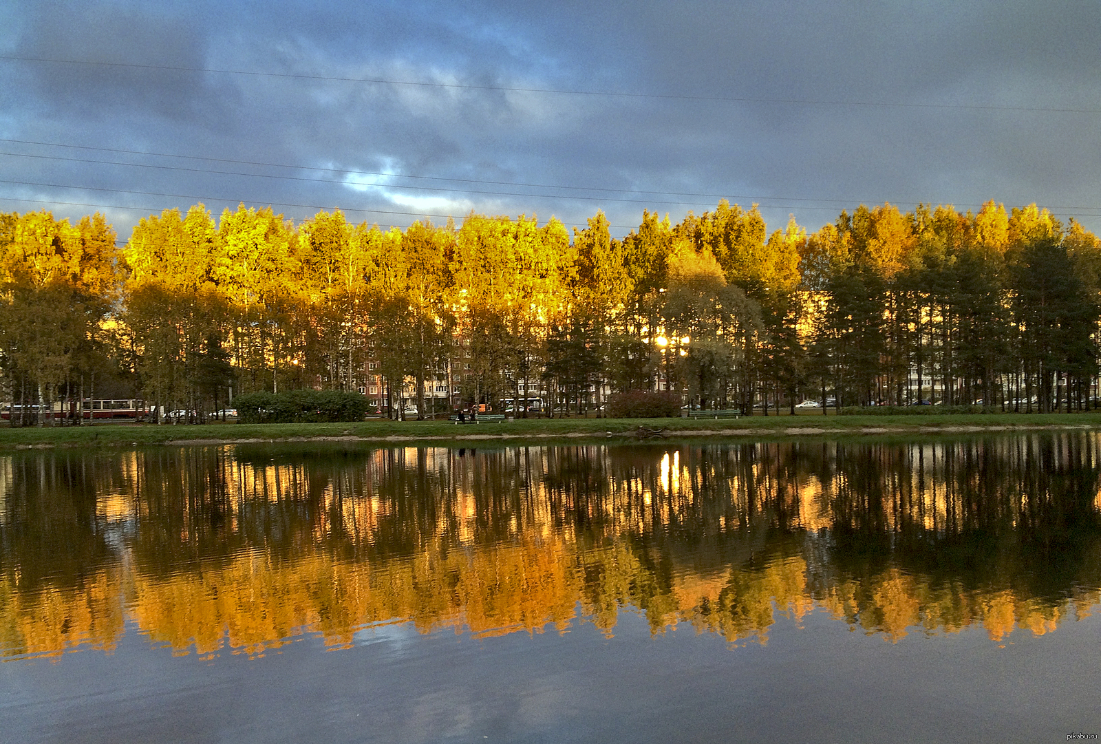 Парк Сосновка в Санкт-Петербурге осень