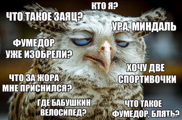 Лунтик Я Проснулся Картинка
