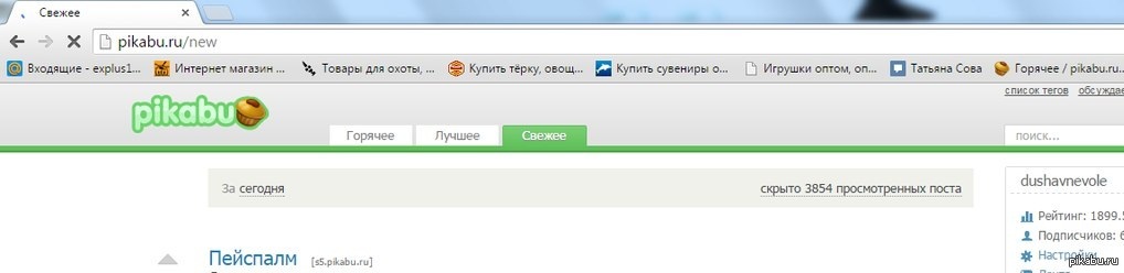 Пикабу виде. Пикабу свежее. Пикабу поиски работы. Пикабу работа. Pikabu не работает сегодня.